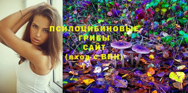 спиды Арсеньев