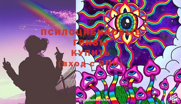 спиды Арсеньев