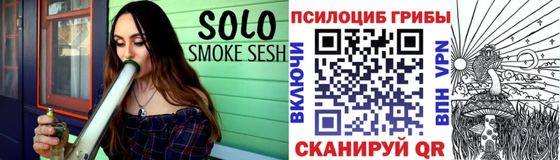 shop наркотические препараты  Сысерть  Псилоцибиновые грибы прущие грибы 